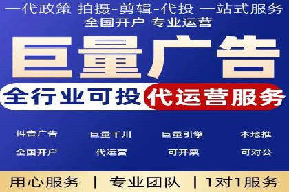 谷歌SEM案例研究：数据分析与效果评估